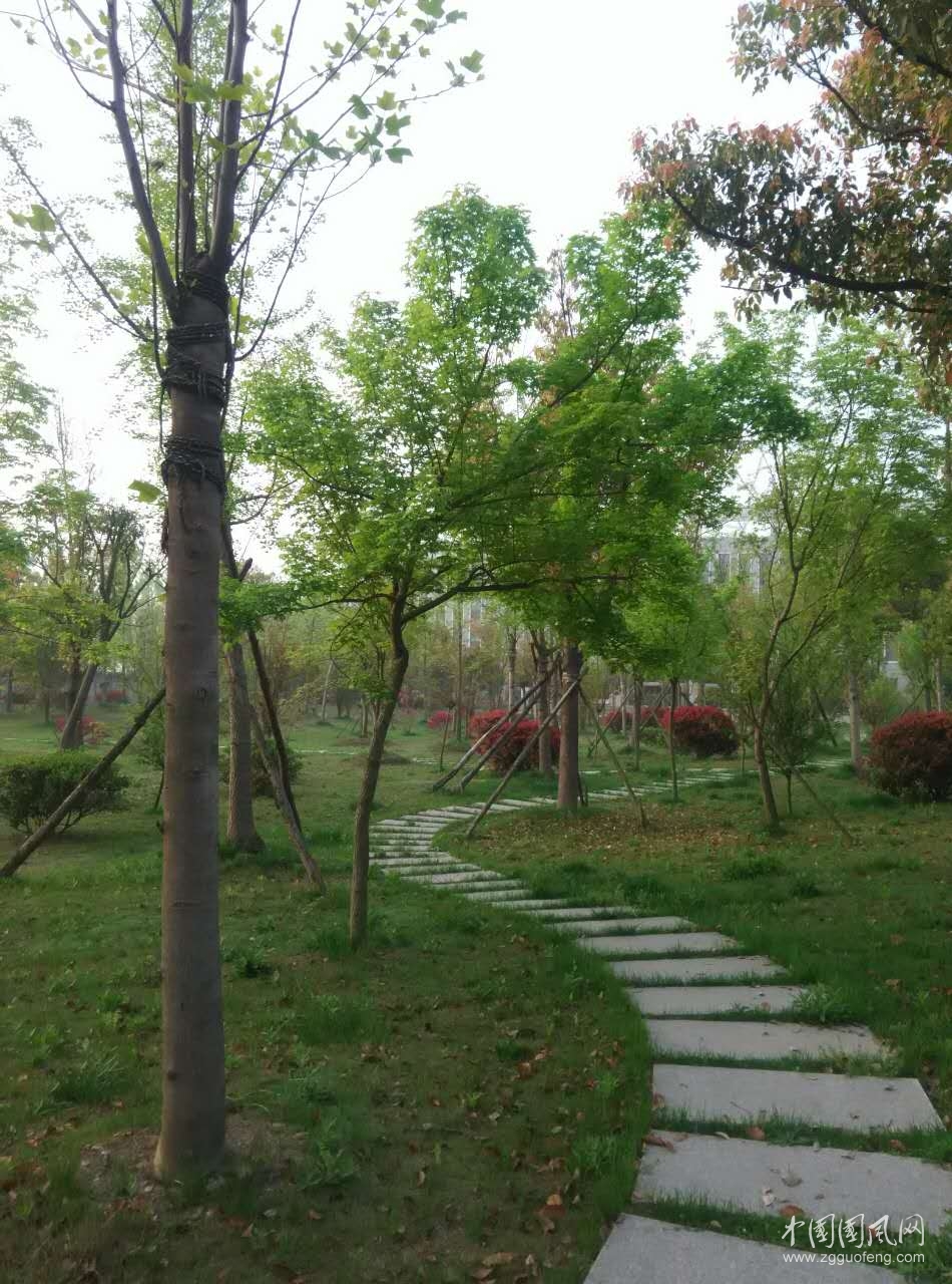 暢想春天   文/王海峰