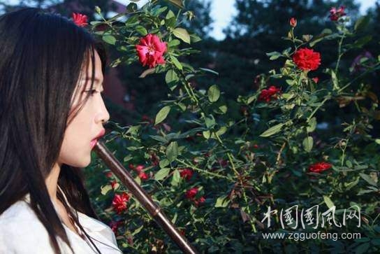 （小雨絲267）聽   簫    文/陳金茂