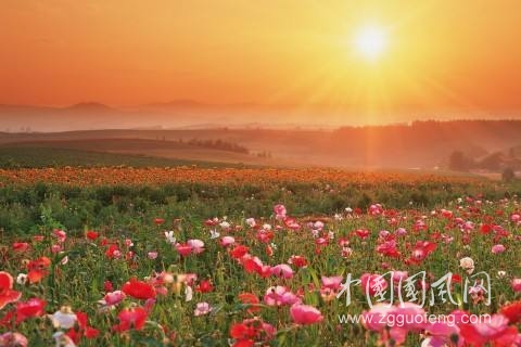 春暖花開（外一篇）