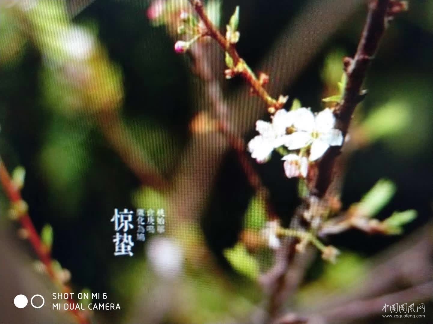 驚    蟄