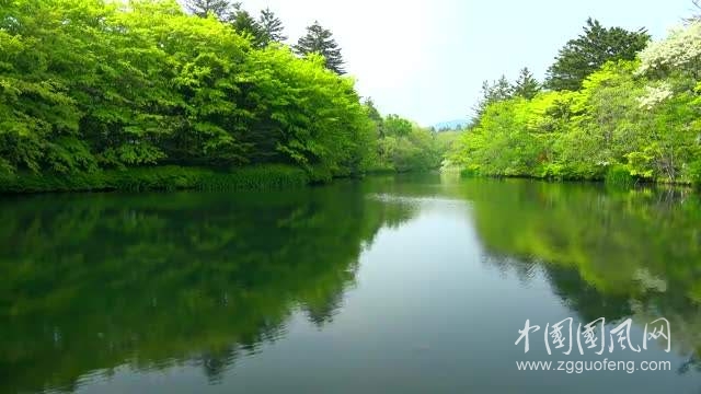 《小鳥唱起歌來》