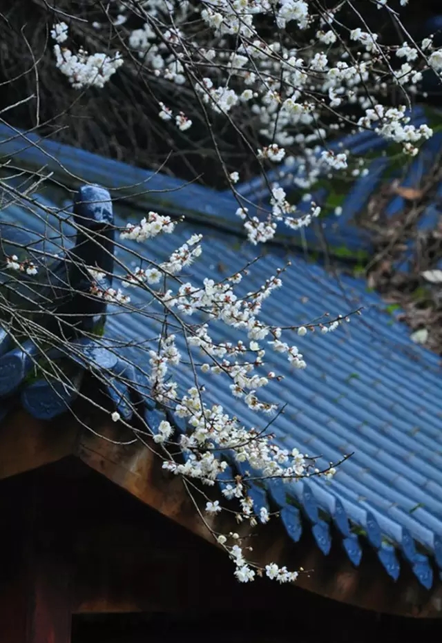 有一種遇見，美到心碎