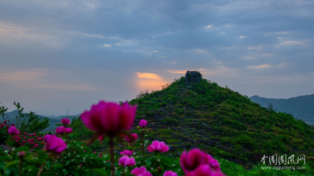 美麗的花季