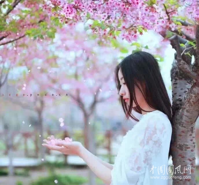    春光無限好