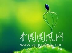 QQ截圖20180509225325.jpg