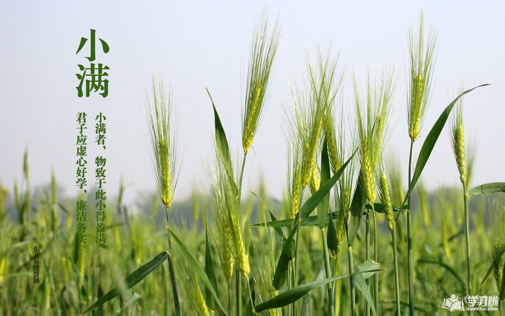 小滿