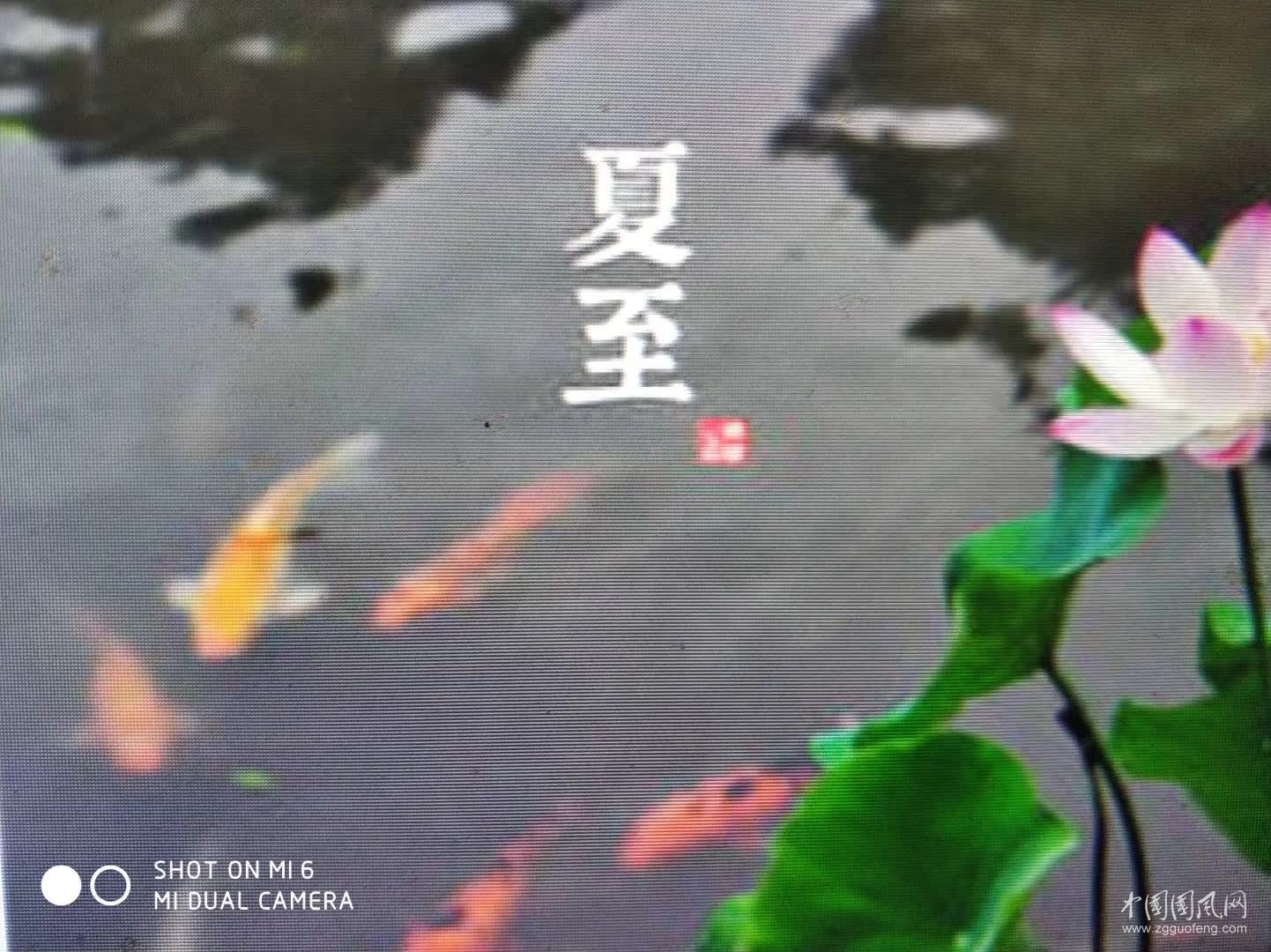 夏 至 隨 感