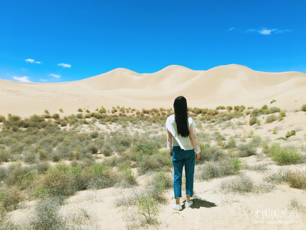 詩(shī)向遠(yuǎn)方   文/王海峰