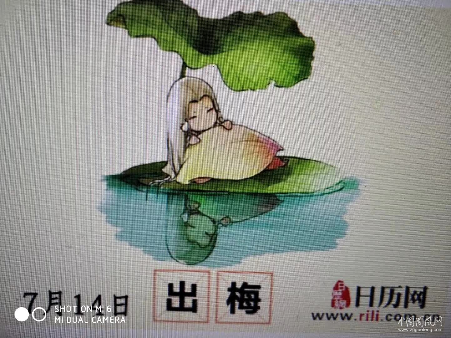 今日出梅雜感   文/吳忠芹