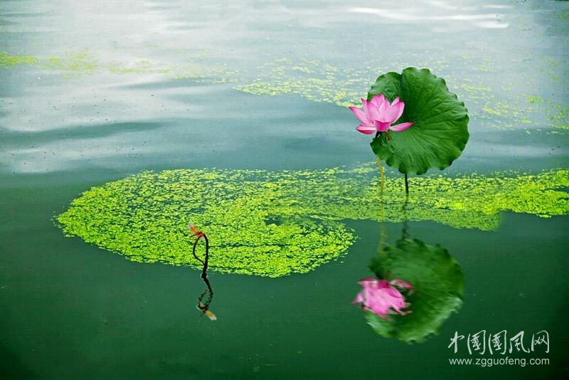 學(xué)會(huì)欣賞