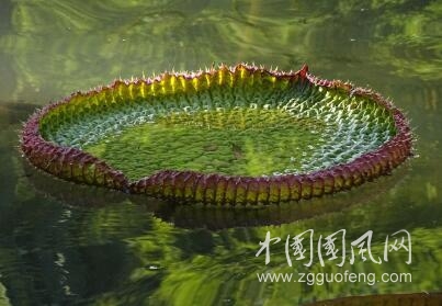 錯(cuò)誤