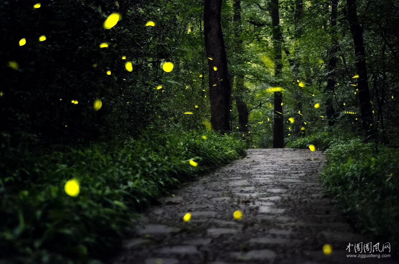 駐村扶貧夜晚遐想    文/張超我