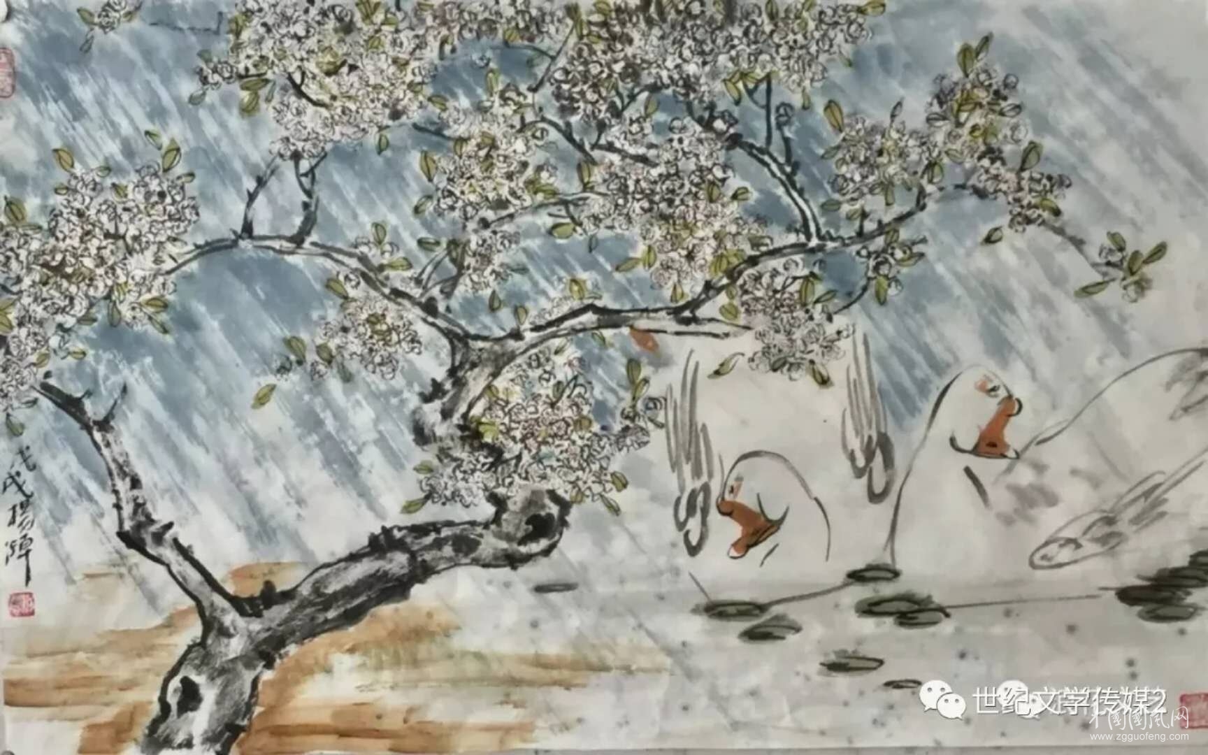 夢里花落梨花雨  文/張晴