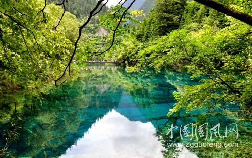 （小雨絲351）一陣風(fēng)       文／陳金茂〔美國(guó)〕