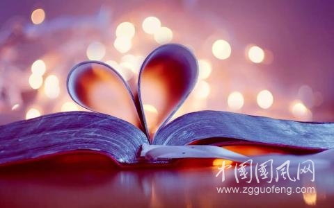 《因為愛》  文/青春鳥