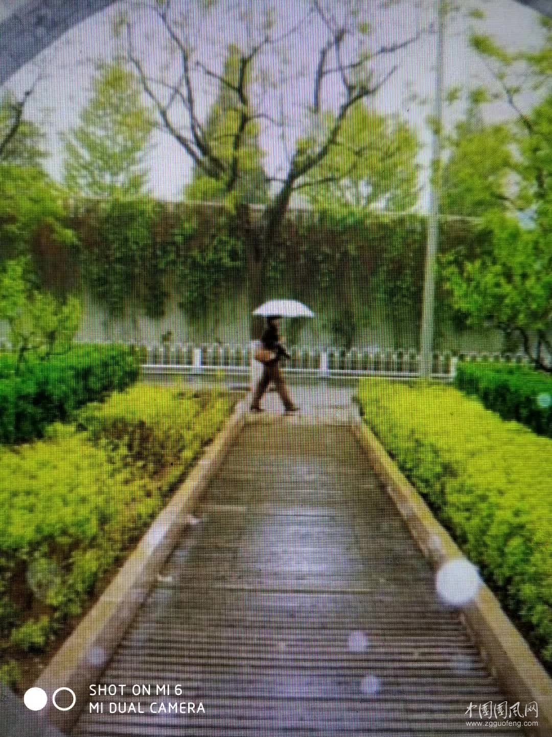 秋   雨   文\吳忠芹