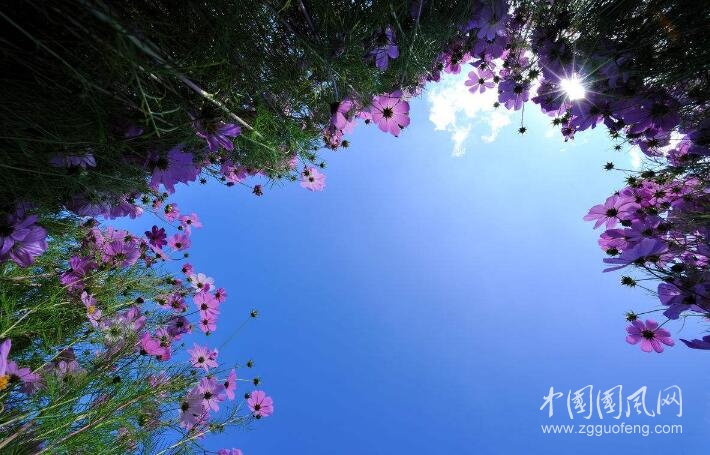 標(biāo)簽