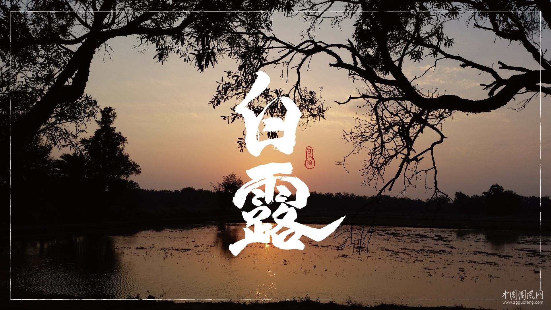《白露的眼睛》    文/青春鳥