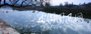 魚