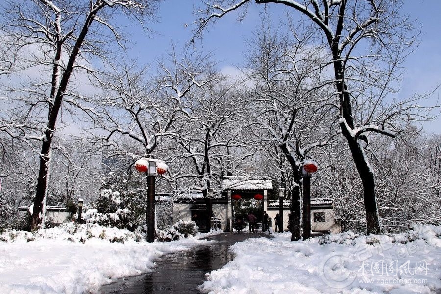 《我的白雪公主又來了》       文/青春鳥