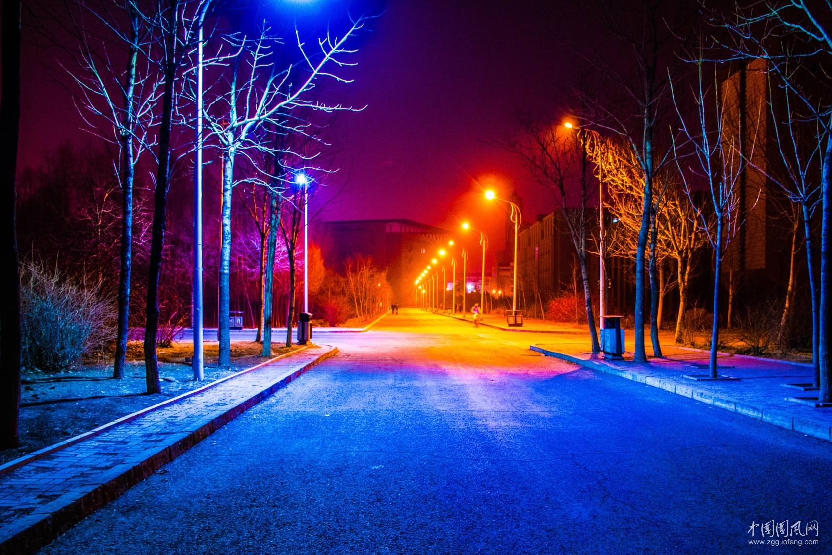    黑夜的燈   文/青春鳥(新疆)