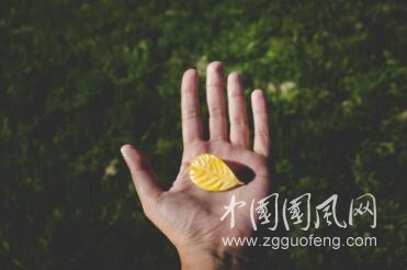 張開的手掌