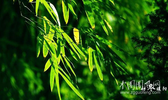 初冬的暖陽