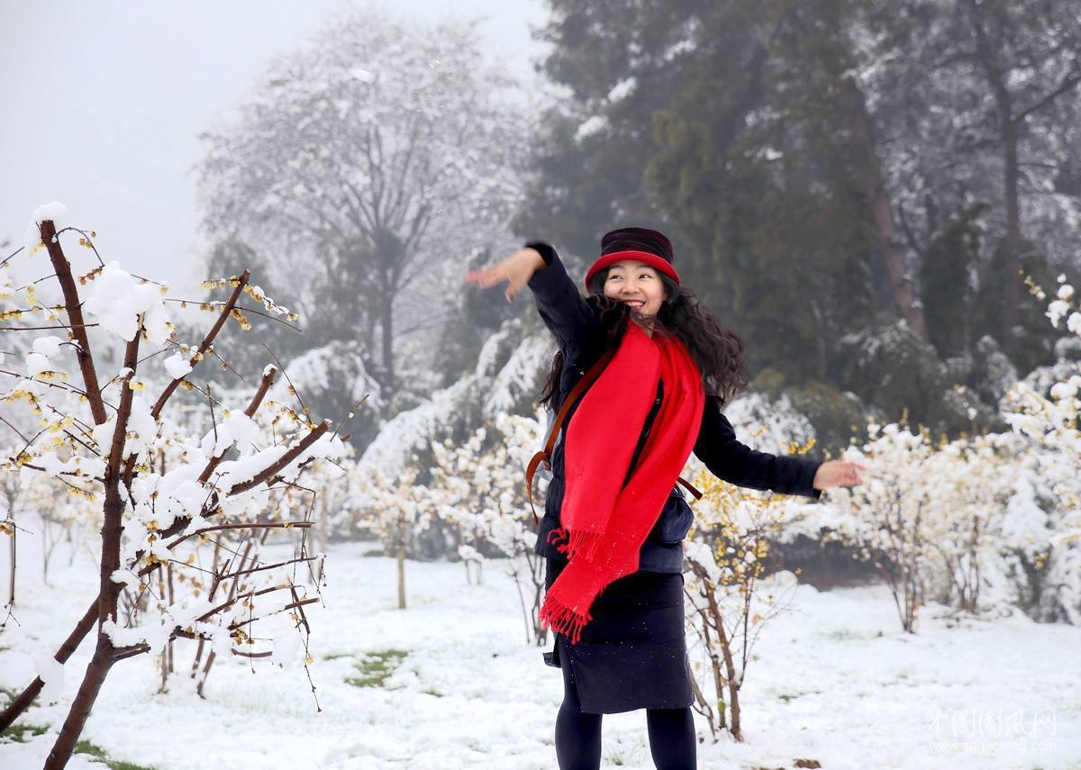 《雪中的紅圍巾》       （文/青春鳥）