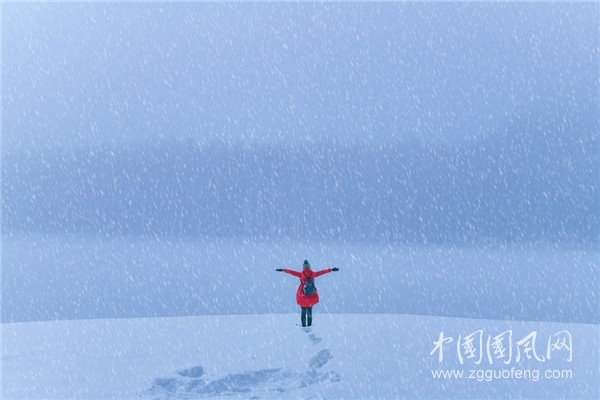 《雪中的愛(ài)》    （文/青春鳥(niǎo)）