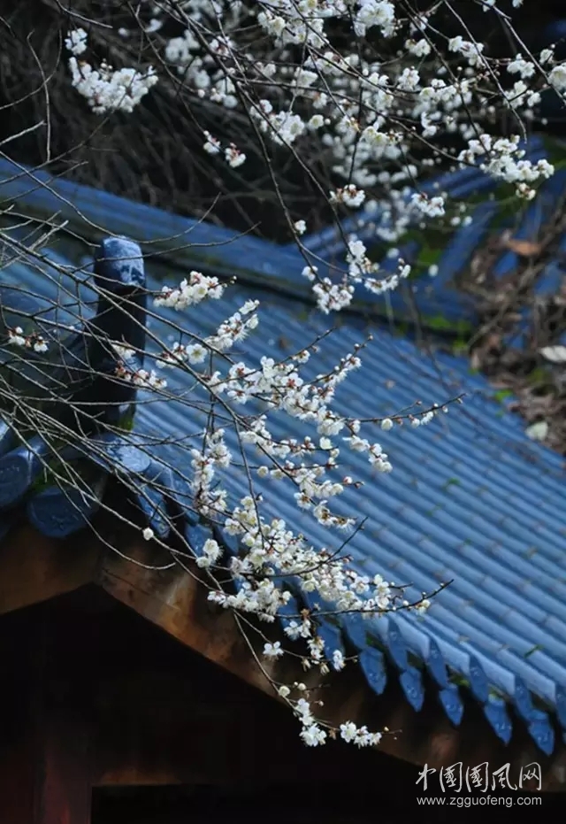 《追夢(mèng)人》  文/青春鳥(niǎo)