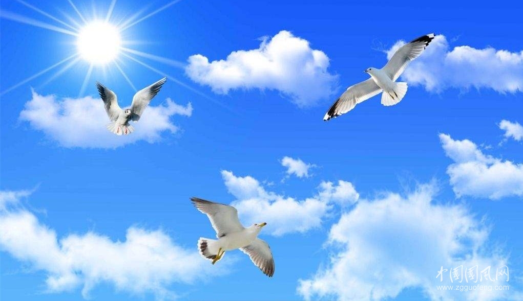 《永遠在成長》      文/青春鳥