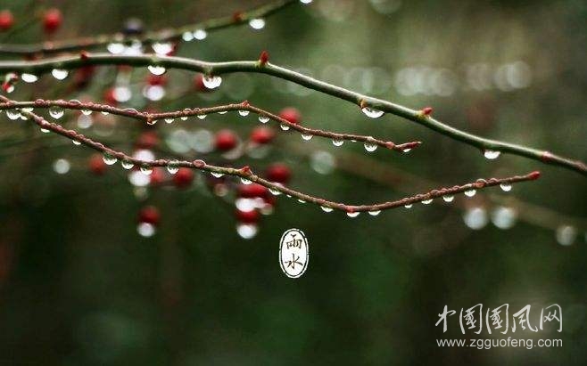 《春天的雨水》   （文/青春鳥）