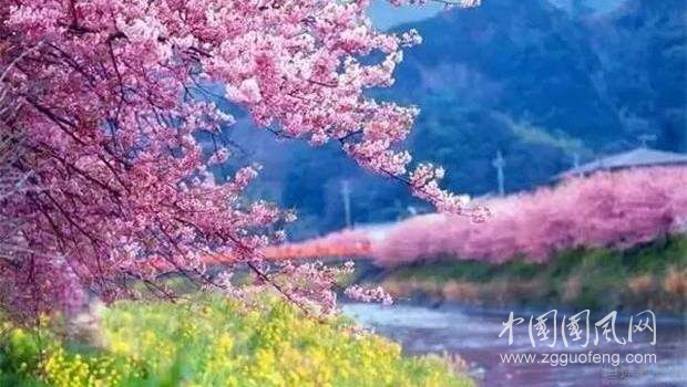 《三月你好》    （文/青春鳥(niǎo)）
