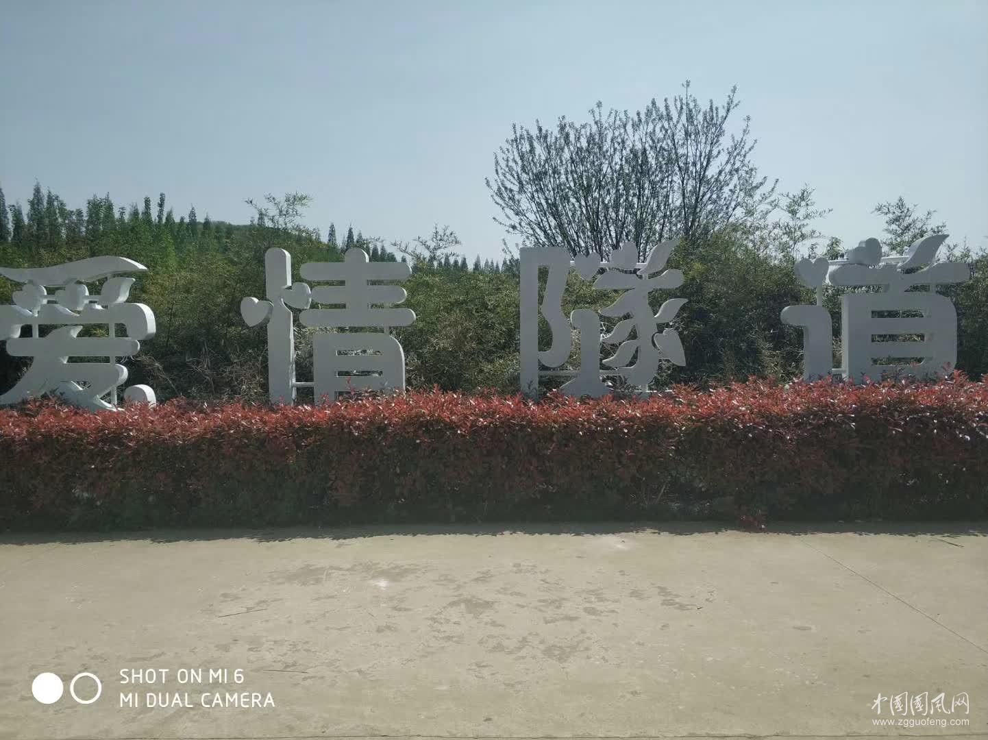  愛情隧道   （文  吳忠芹）