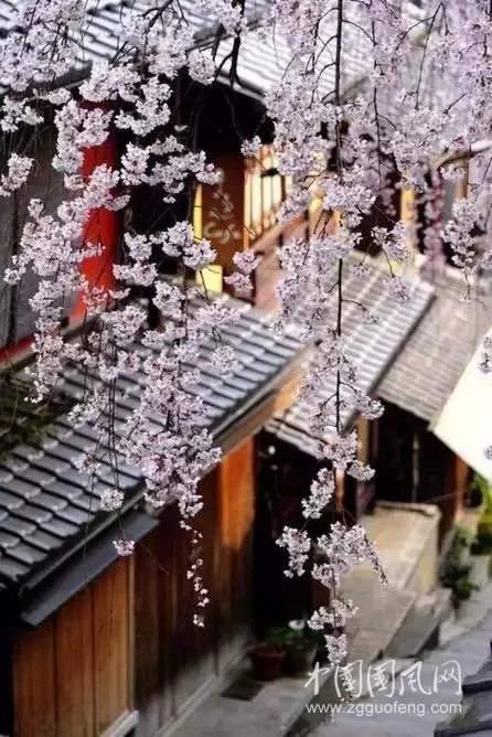 今日之詩   （文/心漫 ）