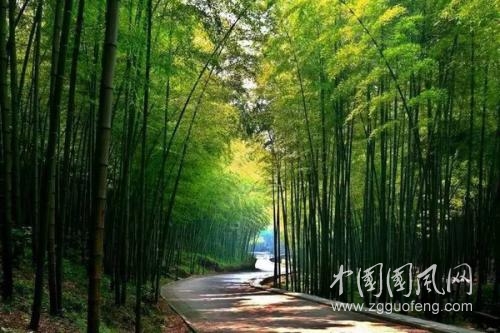 立夏的大地  文/青春鳥(新疆)