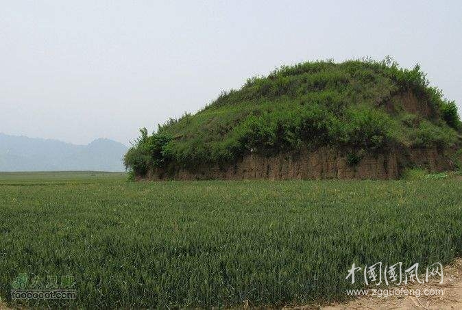 少陵原    （文 白曉民）