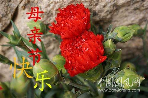 獻給母親的歌    （文  王海峰）